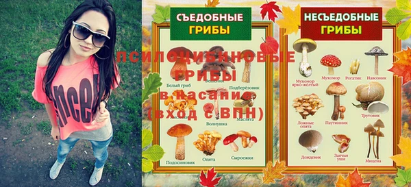 гидра Бронницы