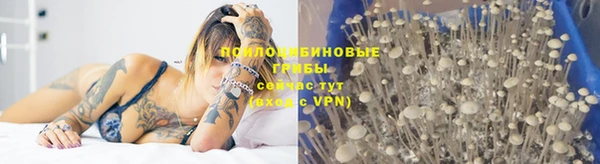 гидропоника Бородино