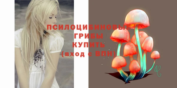гидропоника Бородино