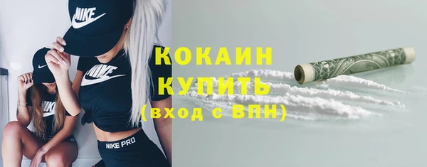 гидропоника Бородино