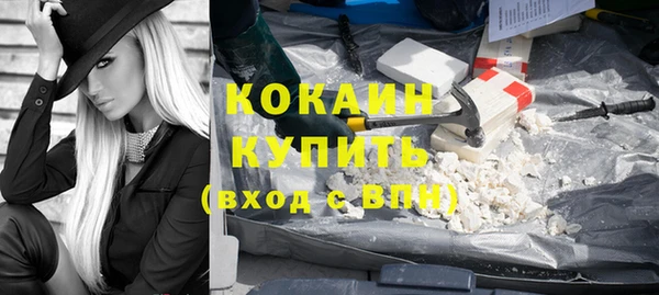 гидра Бронницы