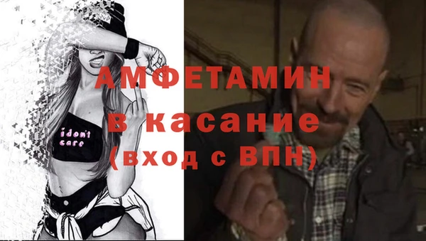 гидра Бронницы